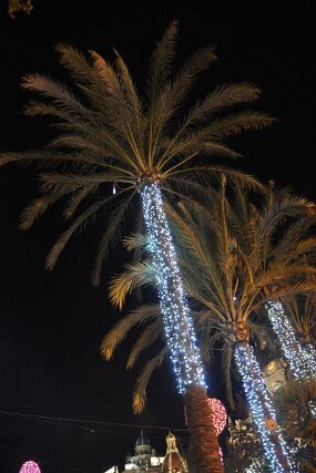 DSC_2224 null
