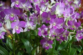 DSC_5872 null