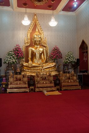 DSC_5951 null