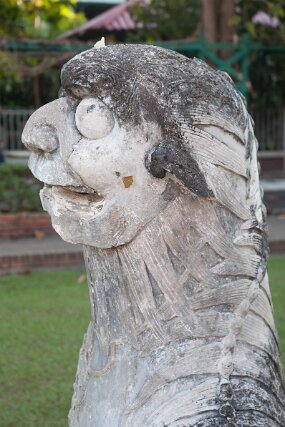 DSC_6537 null