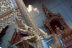 DSC_6550 null