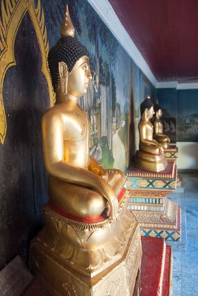 DSC_6475 null