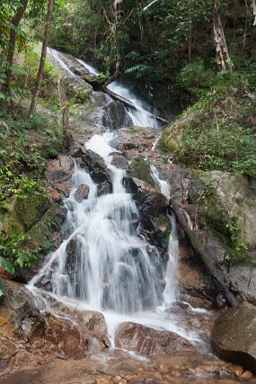 DSC_6617 null