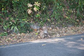 DSC_6123 null