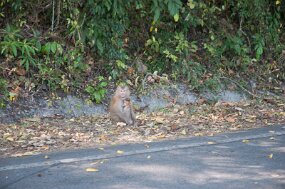 DSC_6124 null