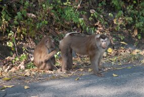 DSC_6126 null