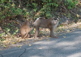 DSC_6127 null