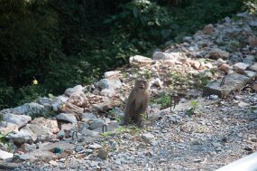 DSC_6129 null