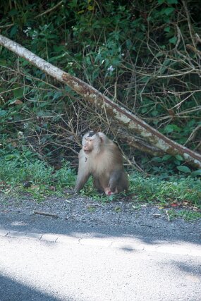 DSC_6150 null