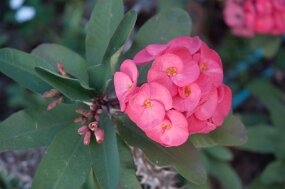 DSC_6404 null