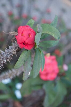 DSC_6405 null