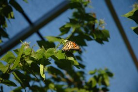 DSC_4764 null