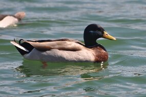 DSC_0179 null