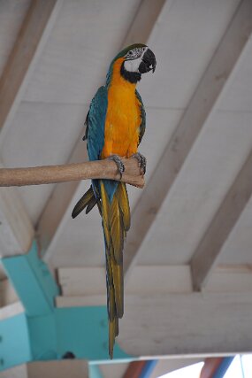 DSC_0424 null