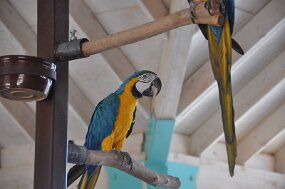 DSC_0427 null