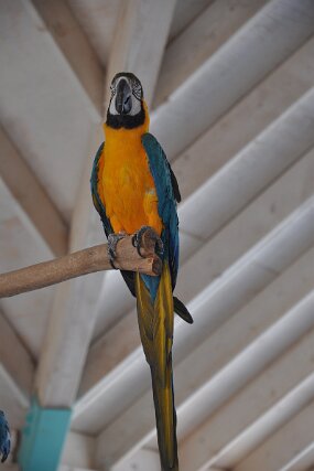 DSC_0428 null