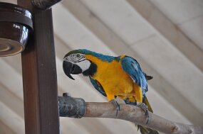 DSC_0429 null