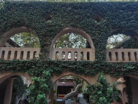 20161105_164250_HDR null