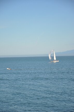 DSC_3339 null