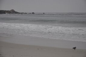 DSC_5374 null