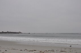 DSC_5375 null