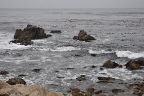 DSC_5382 null