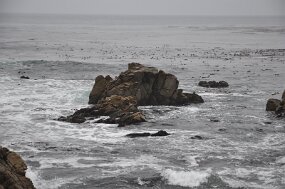 DSC_5384 null