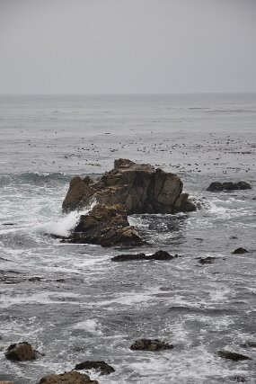 DSC_5385 null