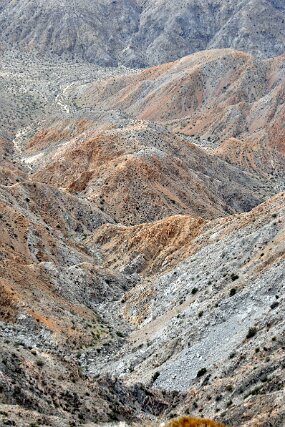 DSC_9480 null