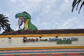 DSC_9520 null