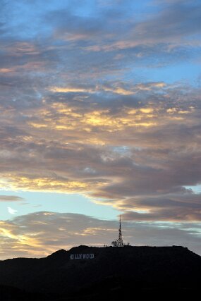 DSC_9536 null