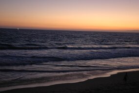 DSC_1560 null