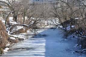 DSC_4597 null