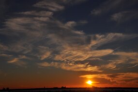 DSC_1367 null