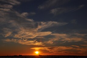 DSC_1368 null