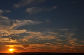 DSC_1369 null