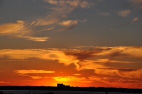 DSC_1372 null