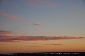 DSC_1383 null
