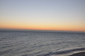 DSC_1390 null