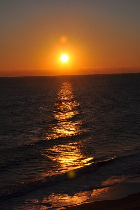 DSC_1392 null
