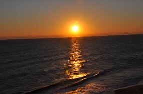 DSC_1393 null