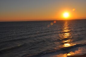 DSC_1394 null