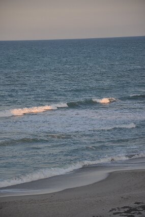 DSC_3471 null