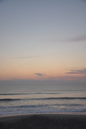 DSC_3473 null
