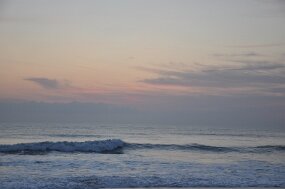 DSC_3475 null