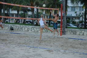 DSC_9722 null