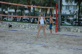 DSC_9723 null