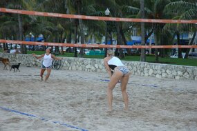 DSC_9731 null