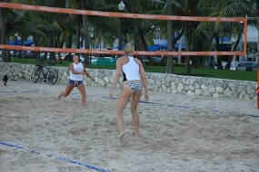 DSC_9733 null