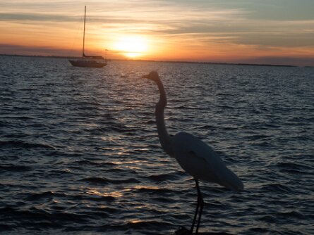 Sanibel/Captiva (7 Oct 16) Sanibel & Captiva (7-9 October 2016)
